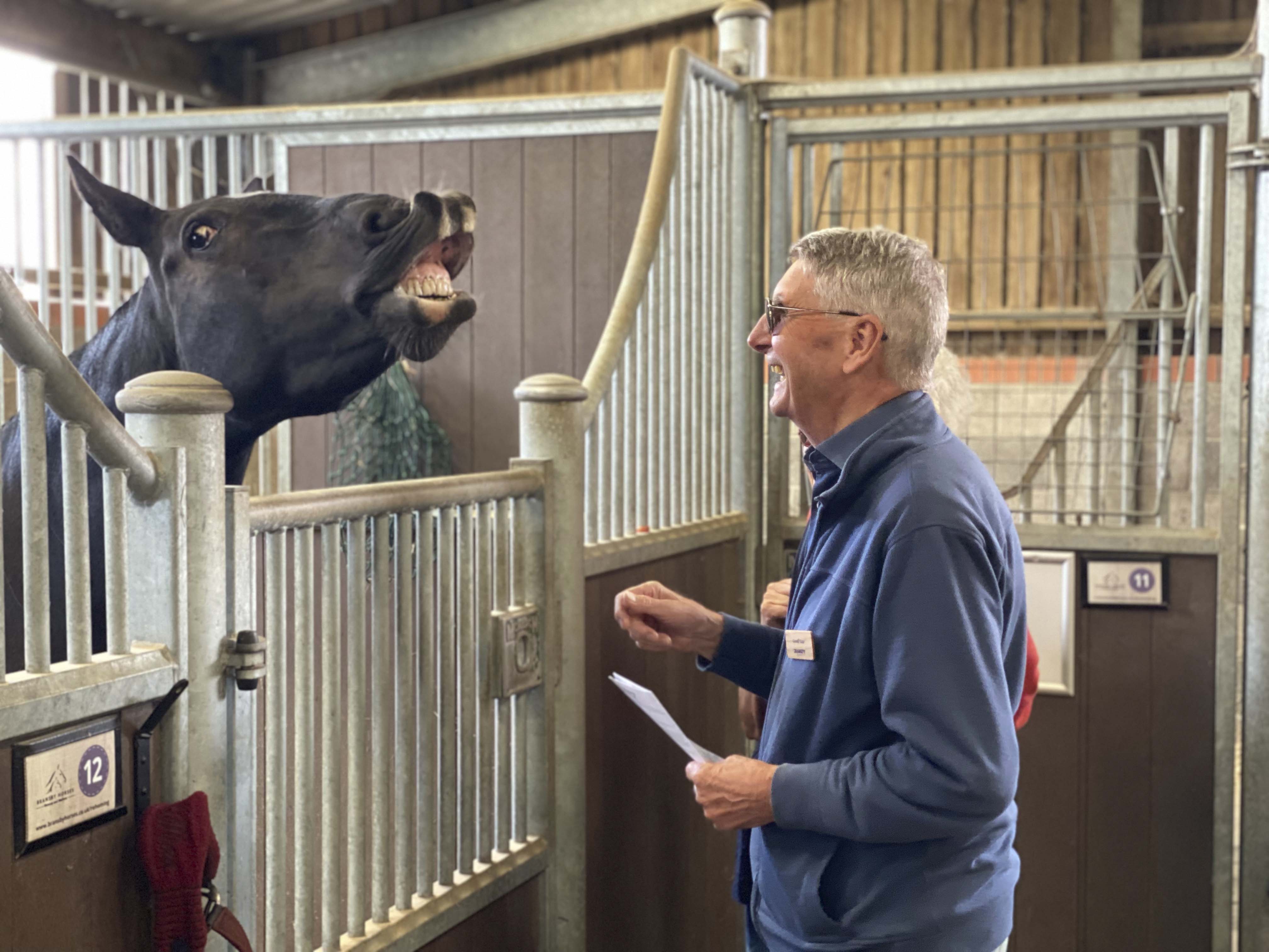 Bransby Horses