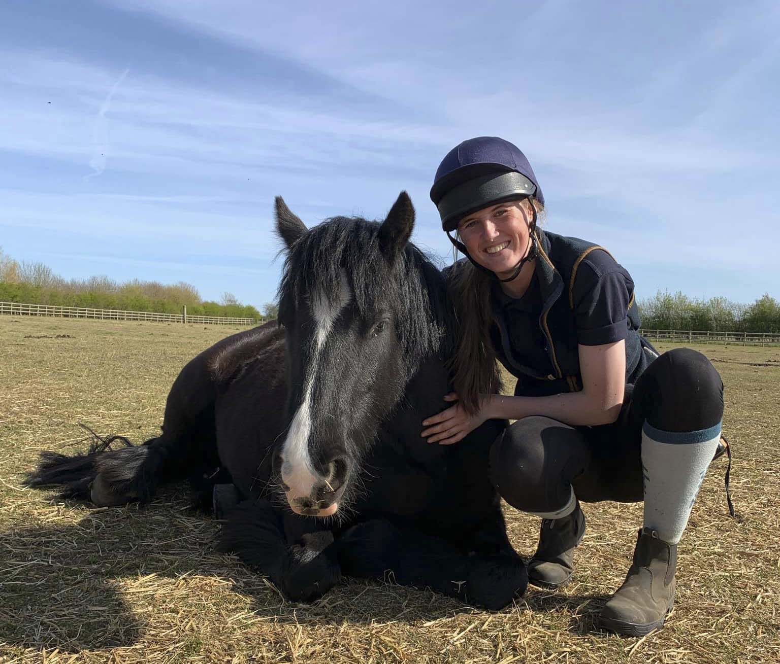 Bransby Horses