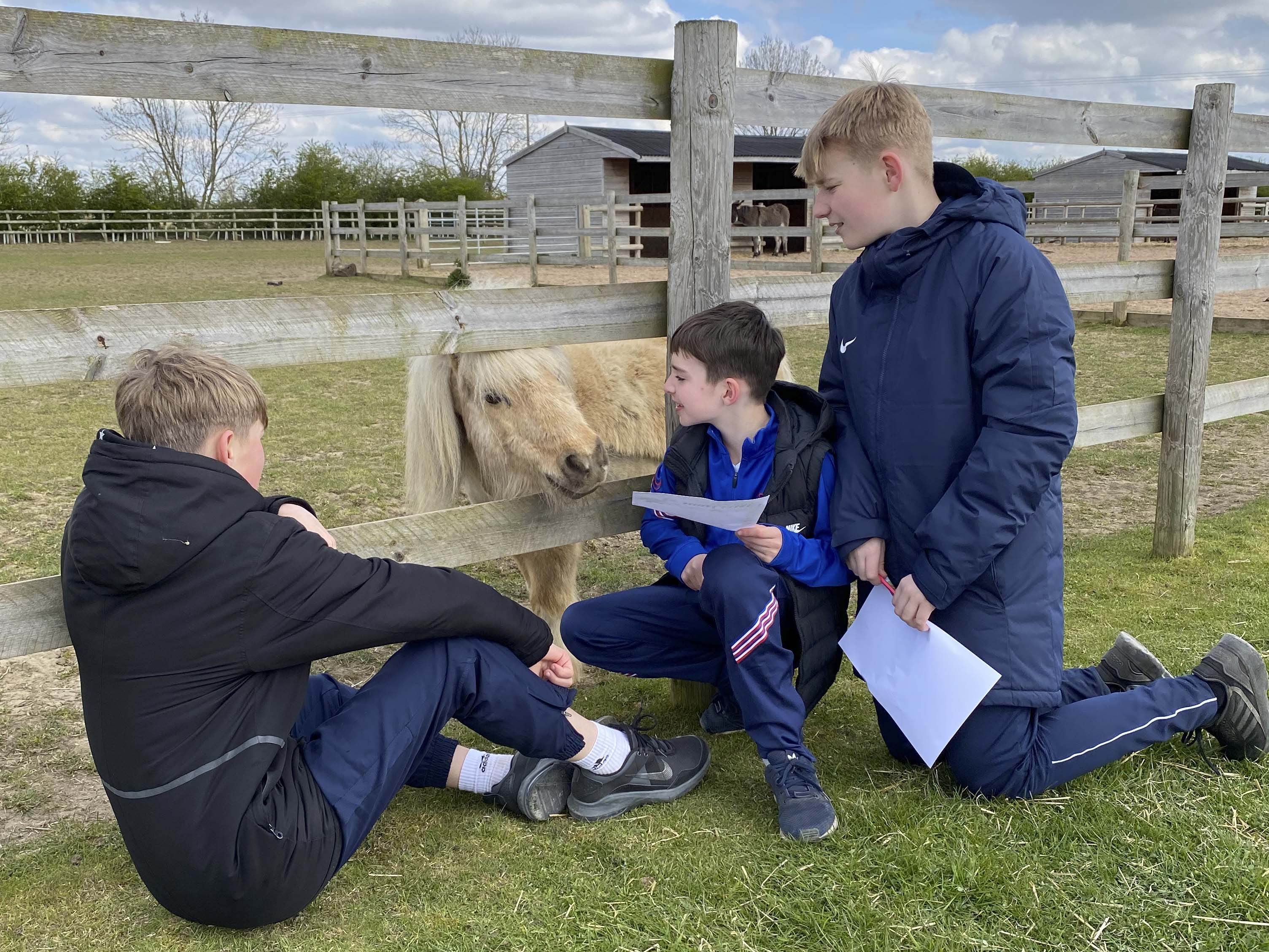 Bransby Horses