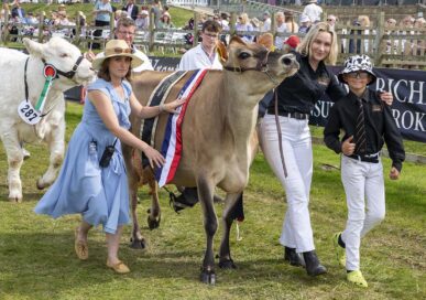 The Lincolnshire Show