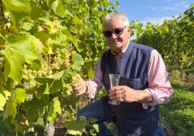 Mark Bygott inspecting Belvoir Castle's vines.