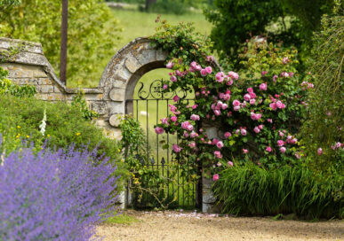 Image: Fred Cholmeley, Easton Walled Gardens.