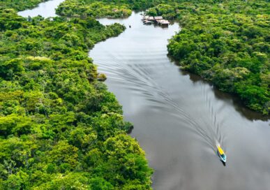 Aerial view of a boat travelling along a river through the Amazon rainforest canopy