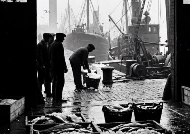 Fishermen unloading crates of fish at Grimsby docks during the town's fishing heyday
