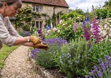 August borders at their peak — and quietly preparing for next year.
