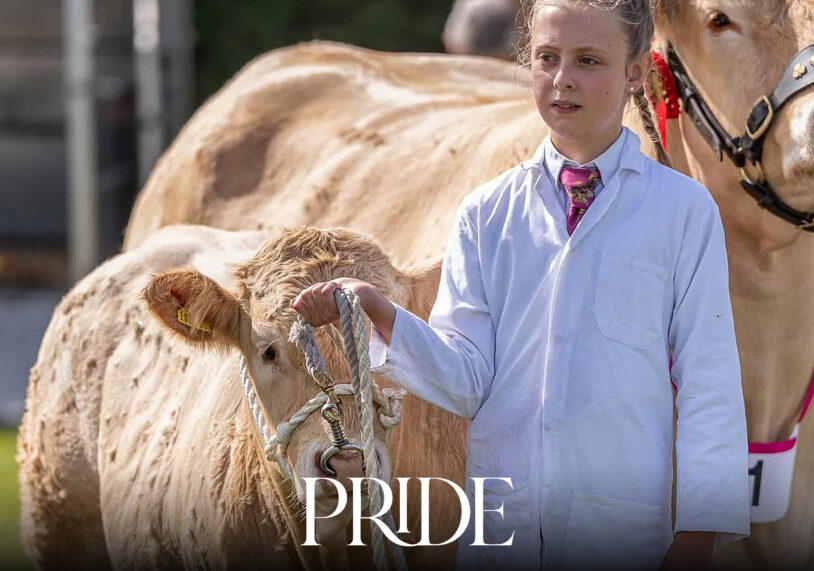 Plan a day at Wragby Show & Country Fayre on Sunday 6 September 2026, with livestock, horses, vintage vehicles, food and family attractions.
