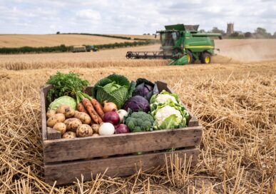 From cereal fields and sugar beet to vegetables, award-winning cheese, sausages and gin — a guide to Lincolnshire's food and drink producers, butchers, cheesemakers, bakers and breweries.