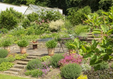 Castor House Garden.