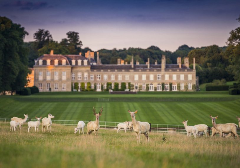 Deer on the West Front of Boughton House.