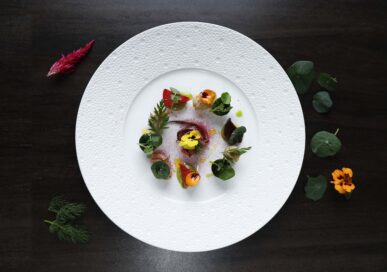 Chargrilled squid starter with beetroot, cucumber and yuzu mayonnaise at The Chubby Castor.