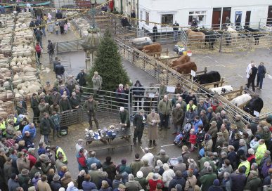 Uppingham's Fatstock Event.