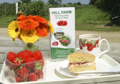 Pick your Own Strawberries in Stamford, Rutland and Peterborough.