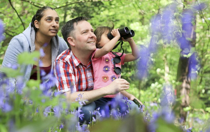 The Leicestershire and Rutland Wildlife Trust.