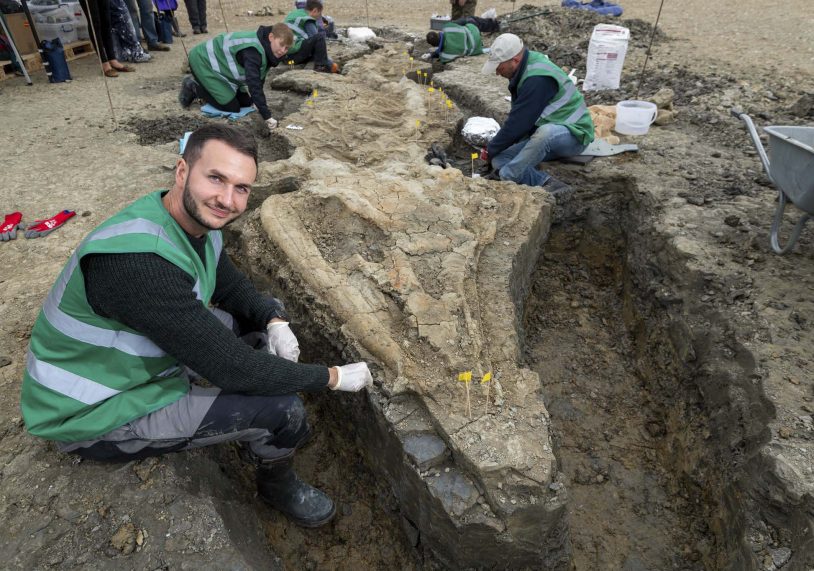 Rutland's ichthyosaur