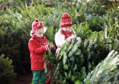 Digby Farm, Rutland.