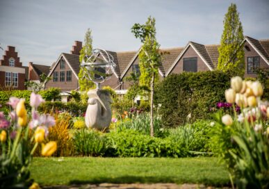 Springfields, Peter Scharff, www.peterscharff.com, courtesy of Springfields Horticultural Society.