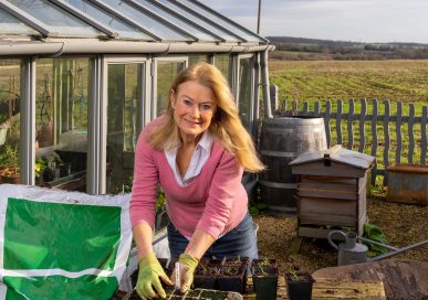 Image: Andrew Crowley.