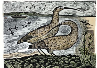 Two Curlews on the Deben, Angela Harding.