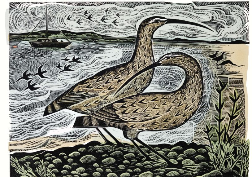Two Curlews on the Deben, Angela Harding.