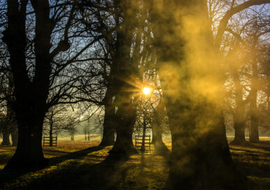 Burghley House, Stamford.