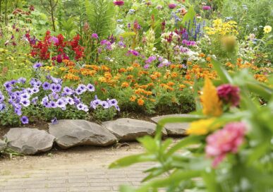 Gardening in Rutland.