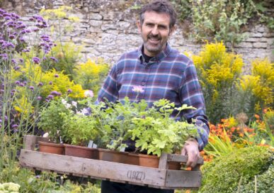 Adam Frost, image by Sarah Cuttle.