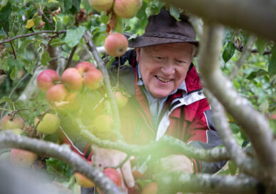 Nigel Baylem, at SCOG’s Christ Church Close’s community orchard.