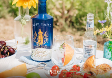 Bottle of Tipplemill London Dry Gin beside wheat and countryside