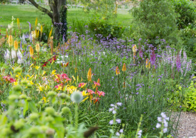 Vote for the grounds of Burghley House in the Historic Houses Garden of the Year competition, 2026.