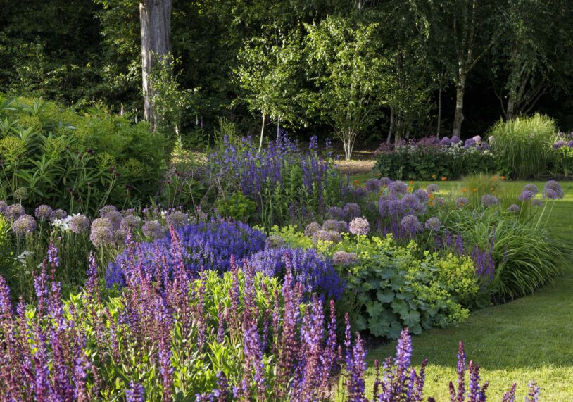 Vote for the grounds of Burghley House in the Historic Houses Garden of the Year competition, 2026.