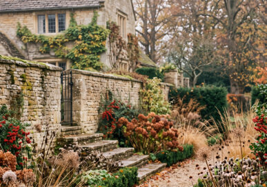 November scene in a Rutland garden