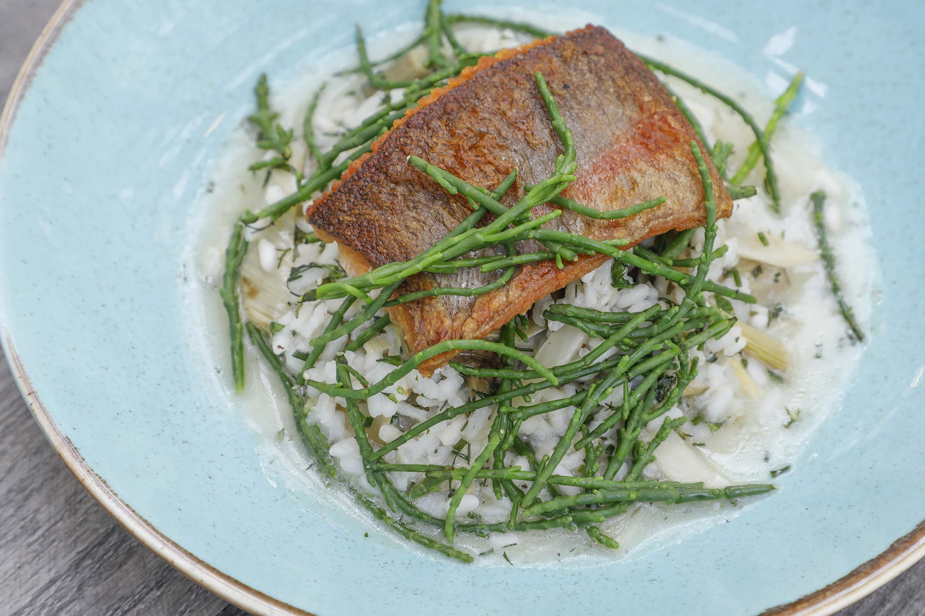 Rutland Water trout fillet with roasted fennel, artichoke risotto and rock samphire £17.95.