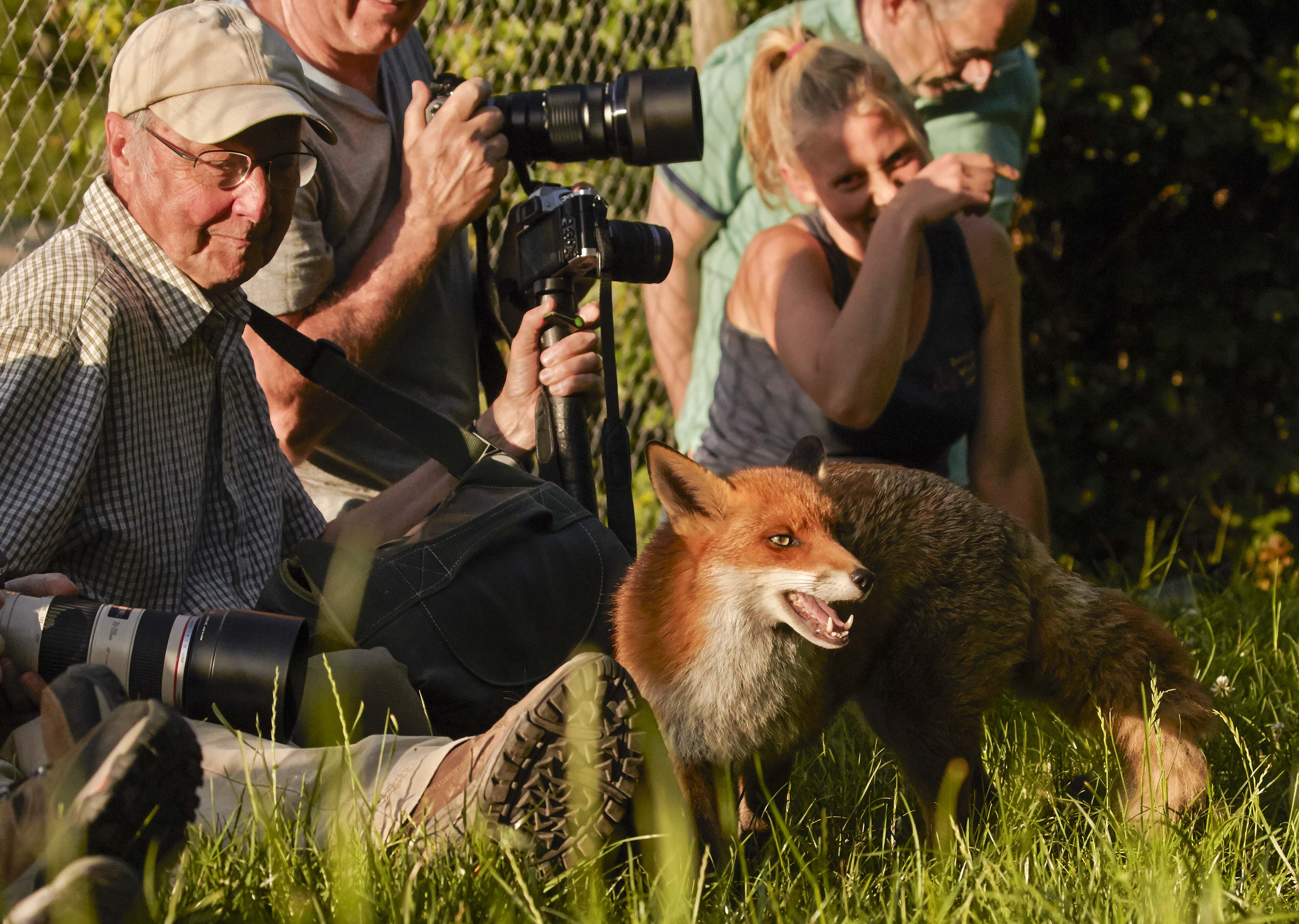 Wildlife photography courses with Rutland's John Wright.