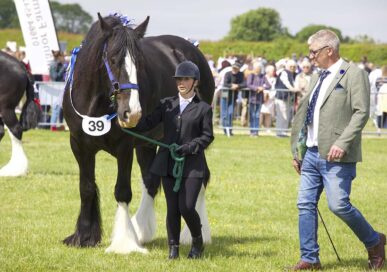 The Rutland Show