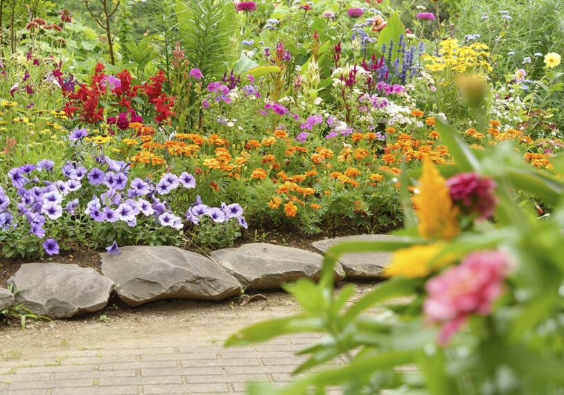 Gardening in Rutland.