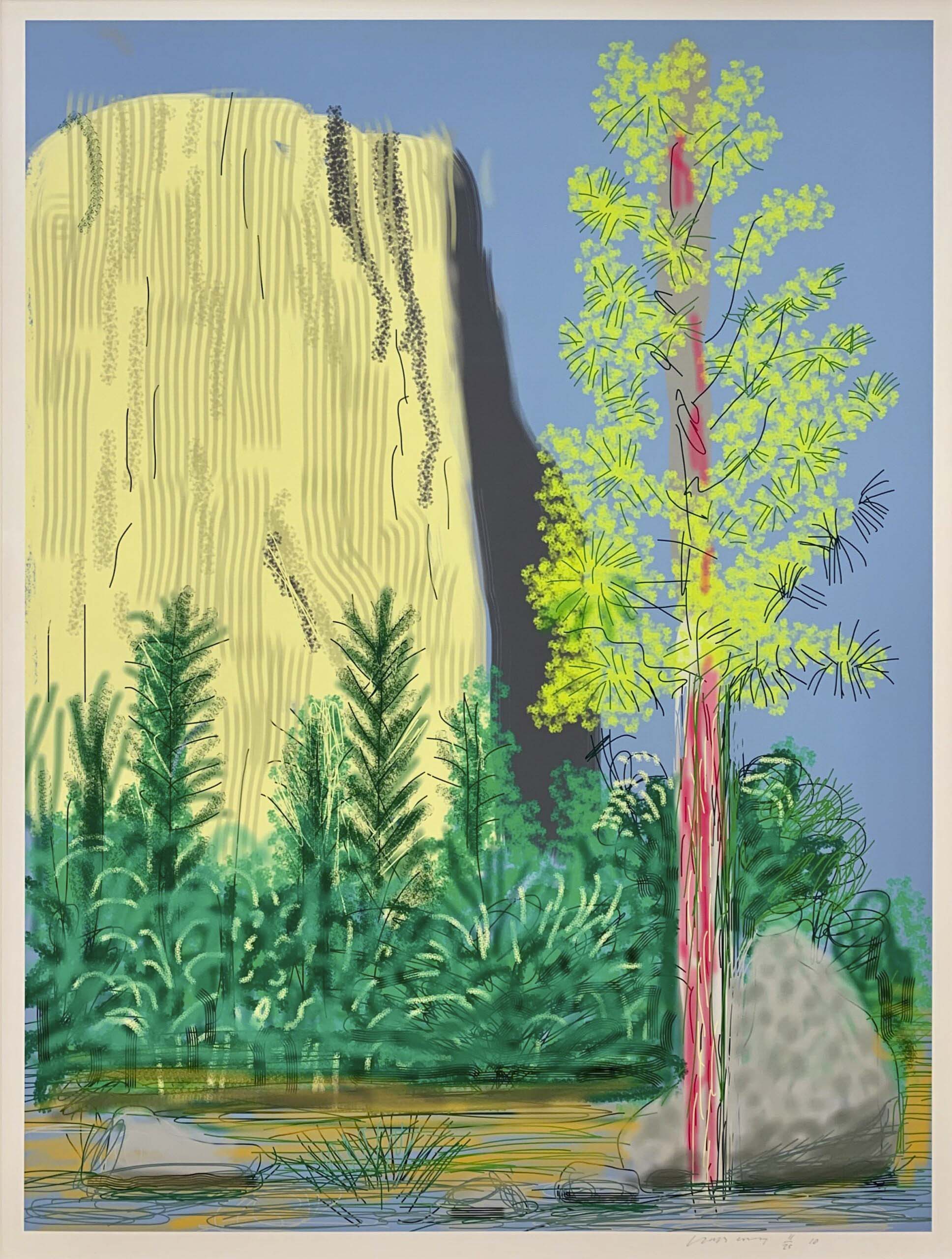 Untitled No.22 from The Yosemite Suite 2010, iPad drawing printed on paper, Ed 11/25, 37″ x 30″ £55,000.