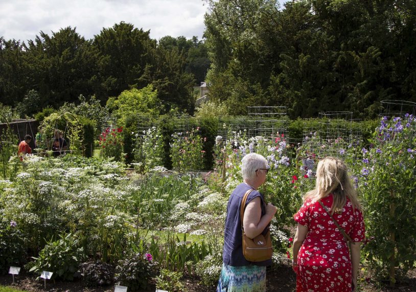 Visitors enjoying the sweet peas. Image: Fred Cholmeley.