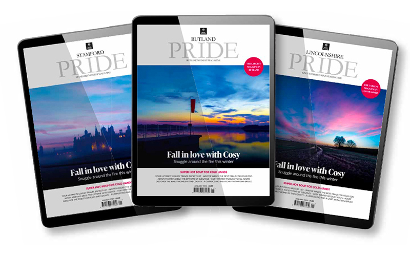 Read Free Online